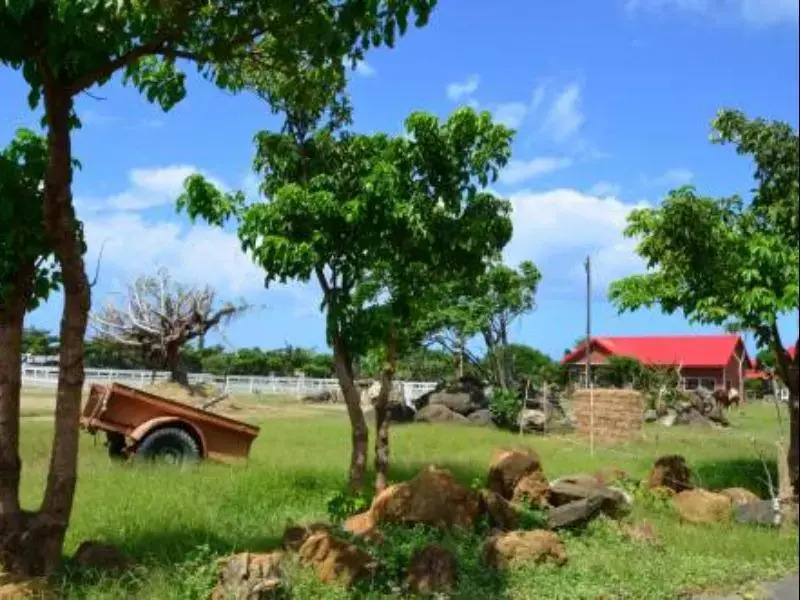 York Horse Riding Club