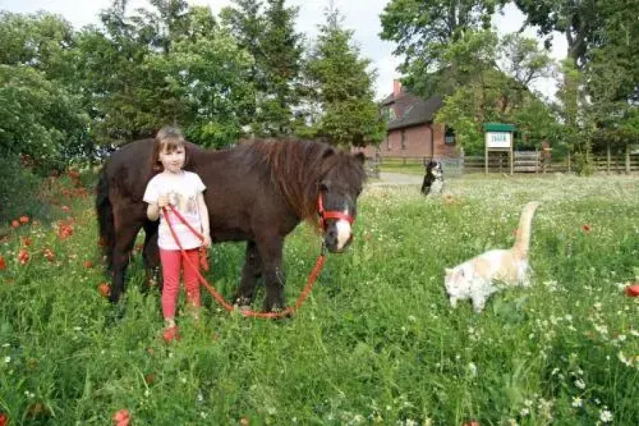 Ostseebauernhof Familie Jäger