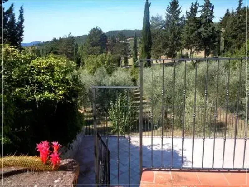 Campo Agli Olivi