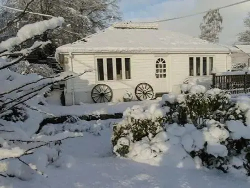 Holly Cottage