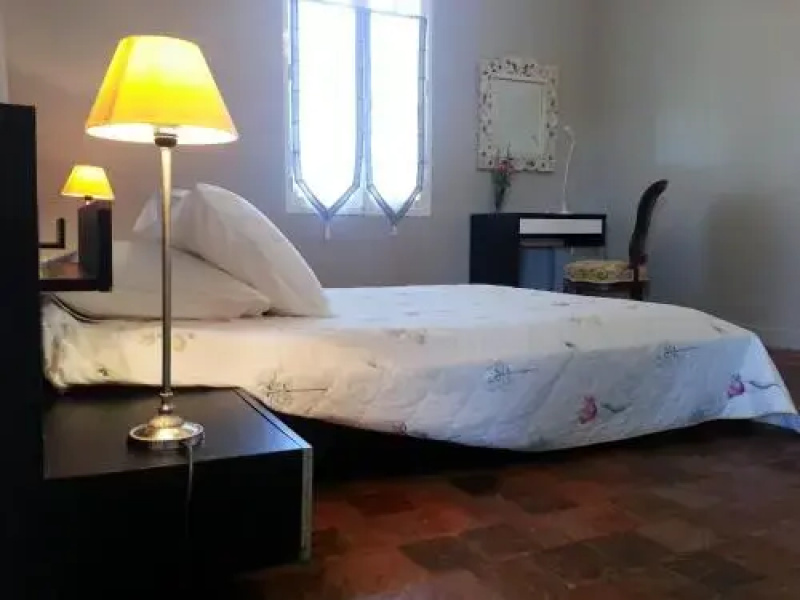 Tourterelle, à proximité de Auxerre et Chablis