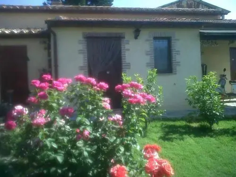 Agriturismo Podere Micitto