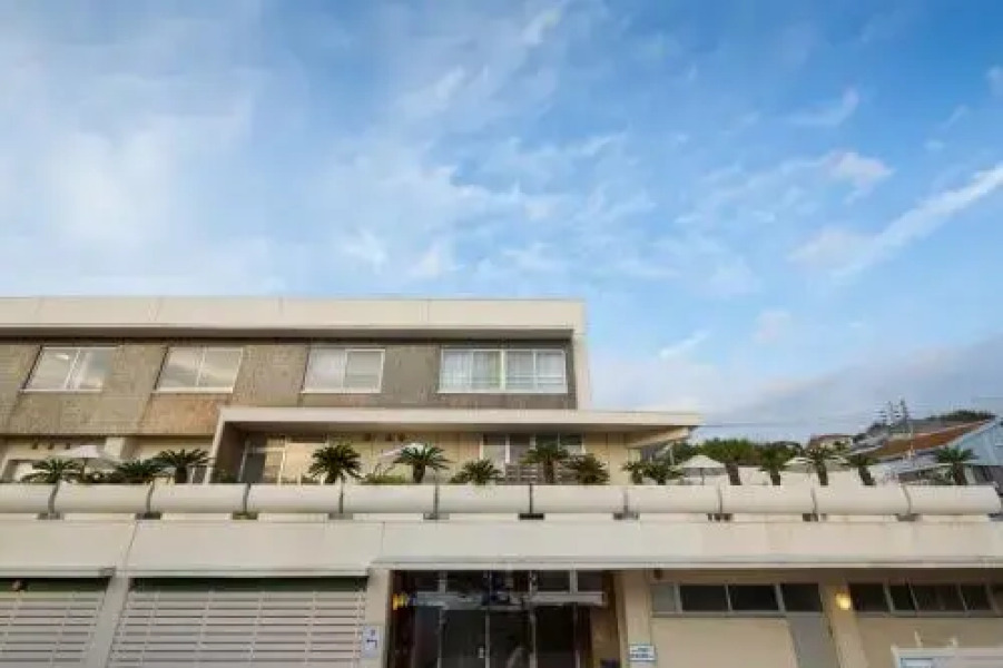 Caro Foresta Miurakaigan ARENA