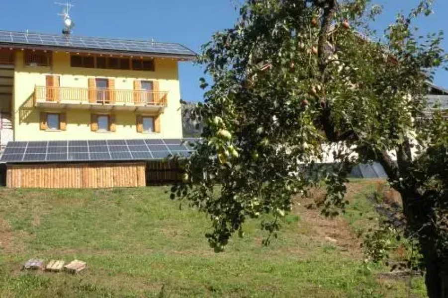 B&B Tomaselli