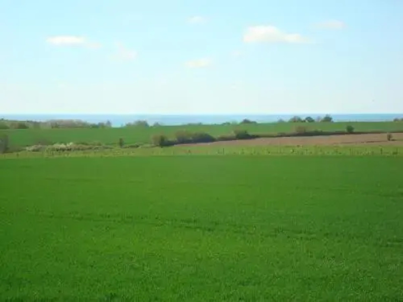 Entre Vert et Bleu