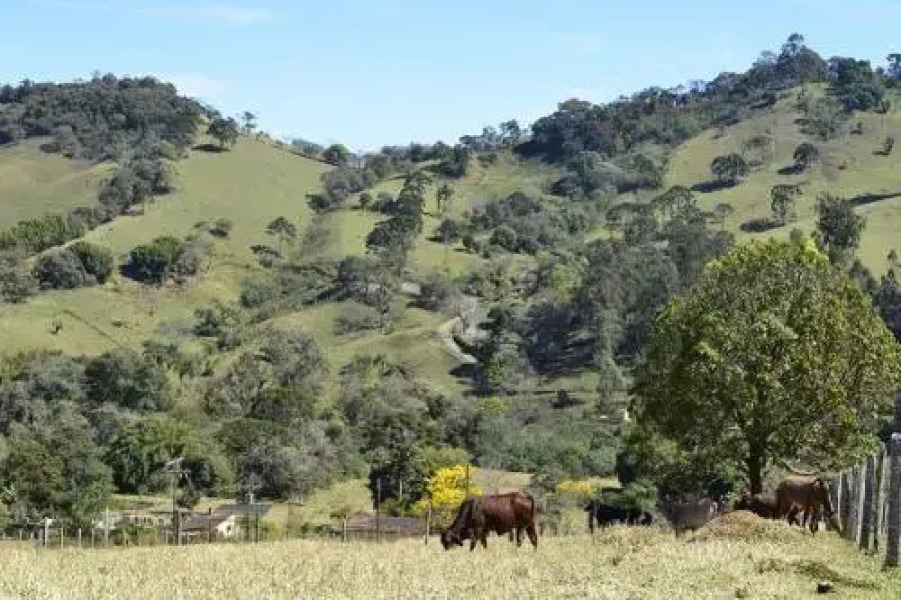Fazenda Mantiqueira