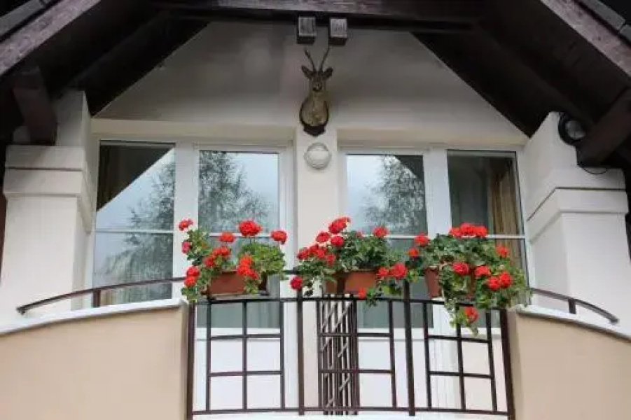Pension Colina