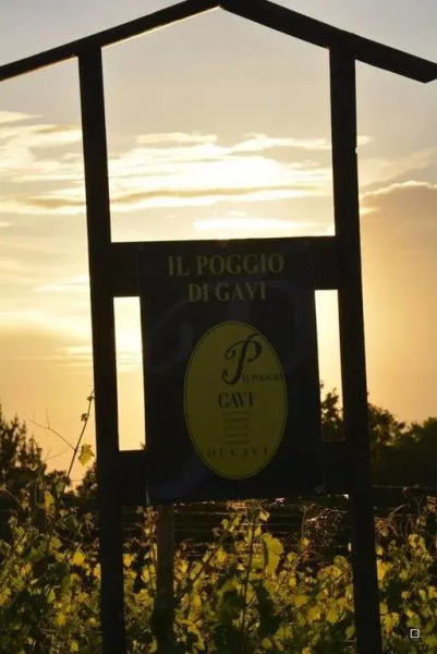 B&B Il Poggio di Gavi