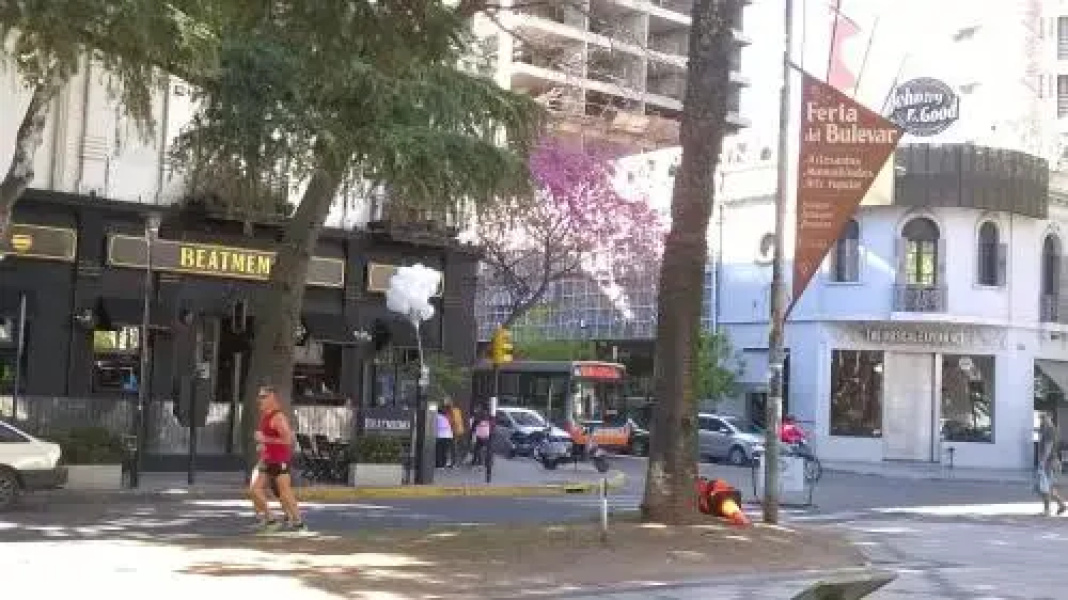 Studio Río