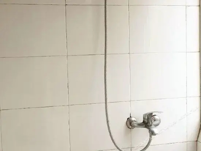 Xinpu Dongxin Lvyuan Guesthouse