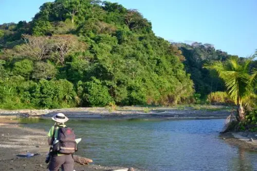 Cabinas The Corner- Hostel