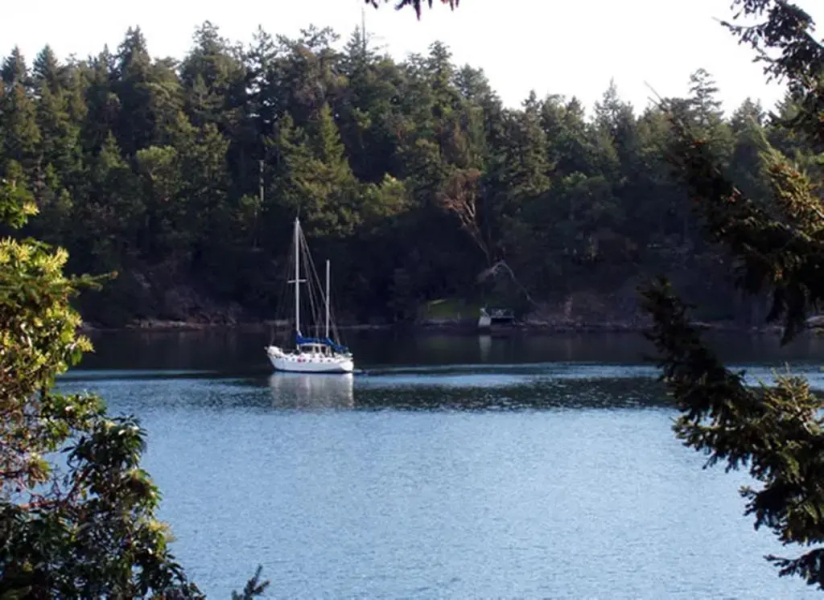 Arbutus Point Oceanfront B & B