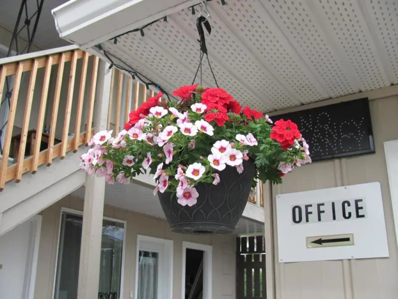 City Centre Motel
