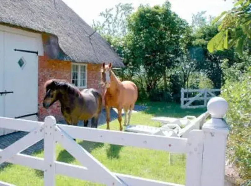 Friesenhof Mühlenwarft