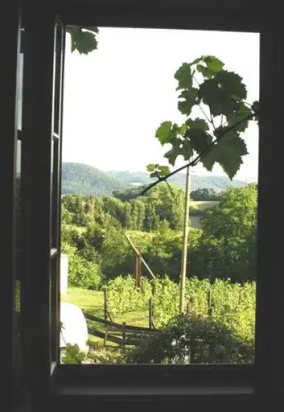 In der alten Weinstube