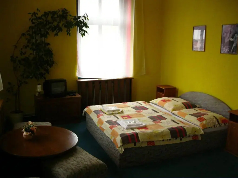 Hotel Cesky Dum