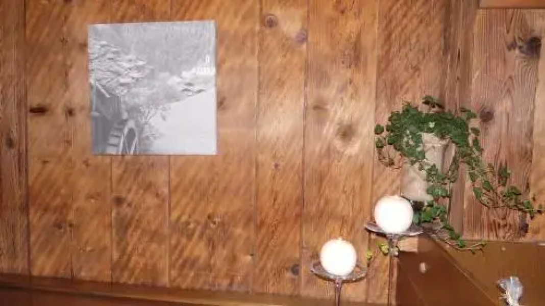 Chalet Wildgall