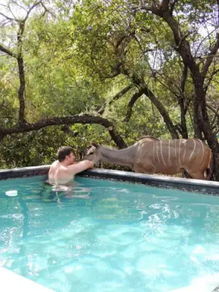 Honey Badger Safari House