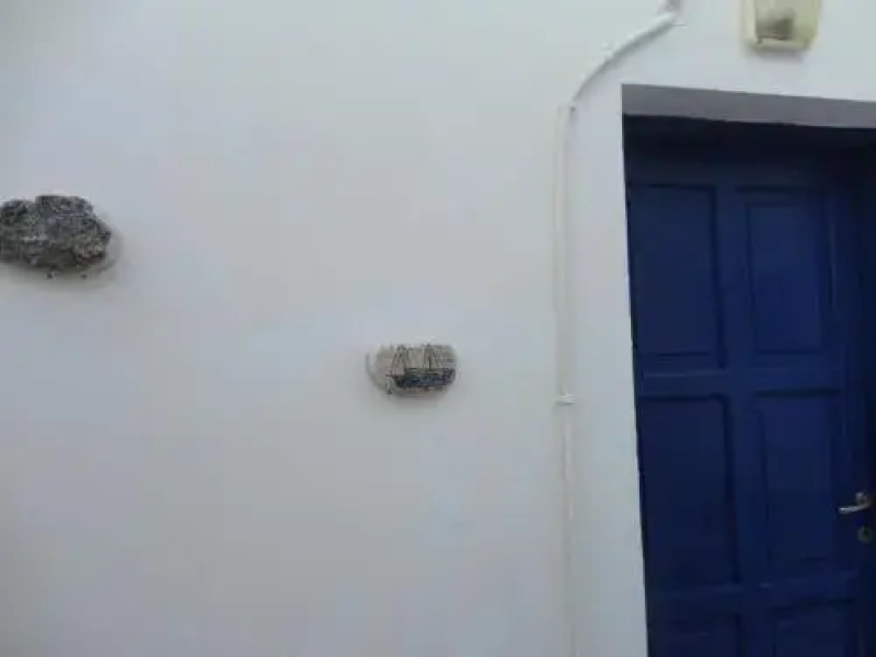 Pavlos Rooms
