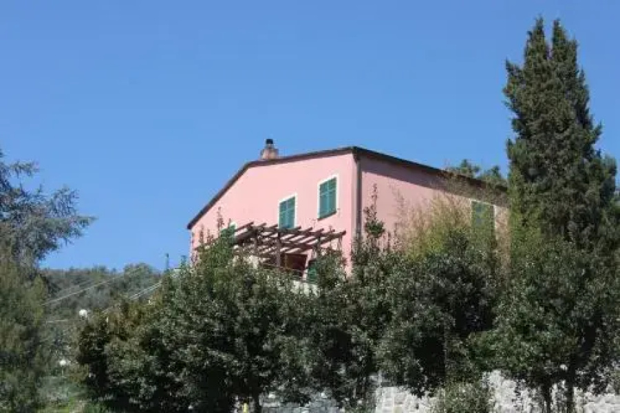 Le Ginestre
