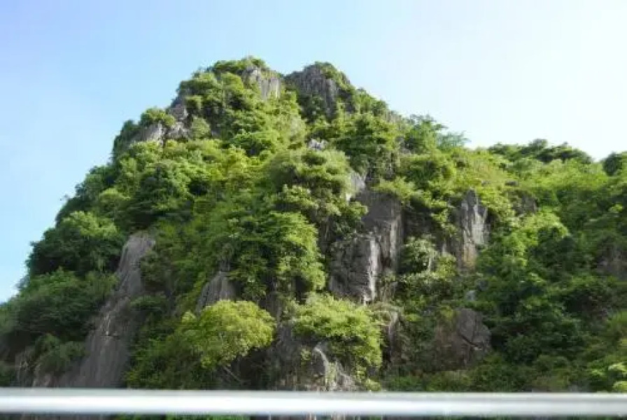 Phong Nha Orient Hotel