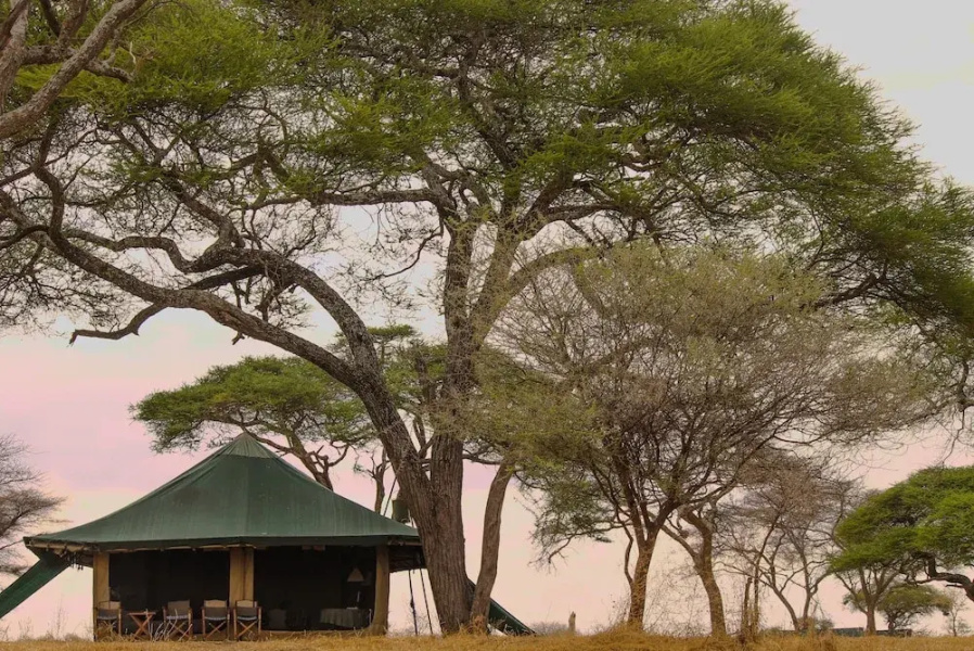 Corfield Camp Tarangire