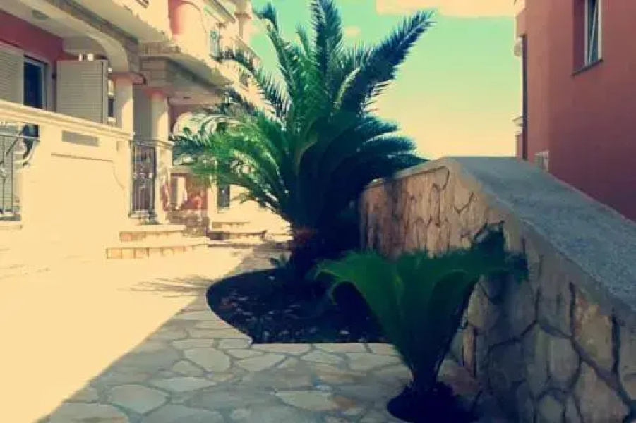 Apartments Roxsi