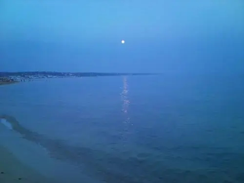 Bed and breakfast Delfino Blu