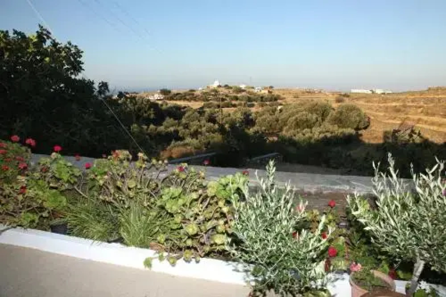 Paradise Place - Sifnos