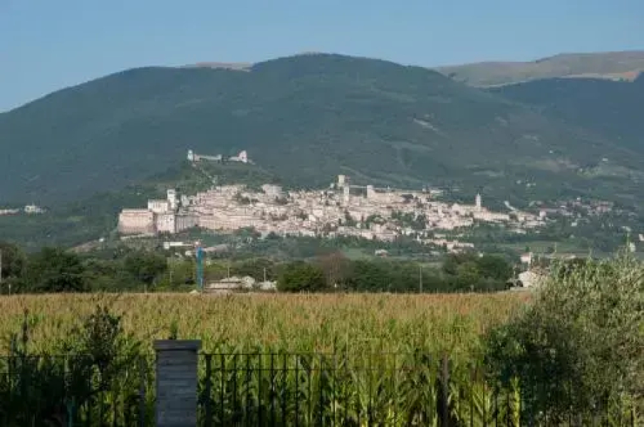 La Strada Di Francesco DAssisi