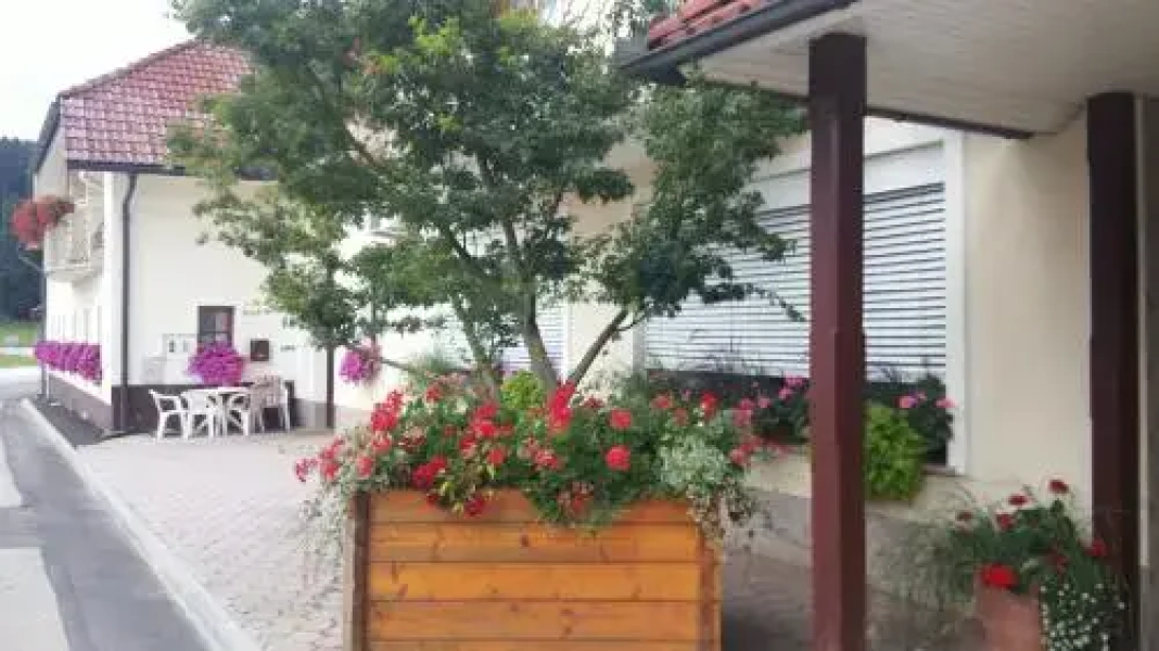 Darja Guesthouse