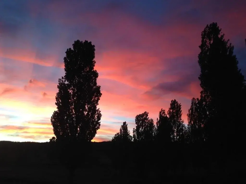 Glen Waverly Farmstay