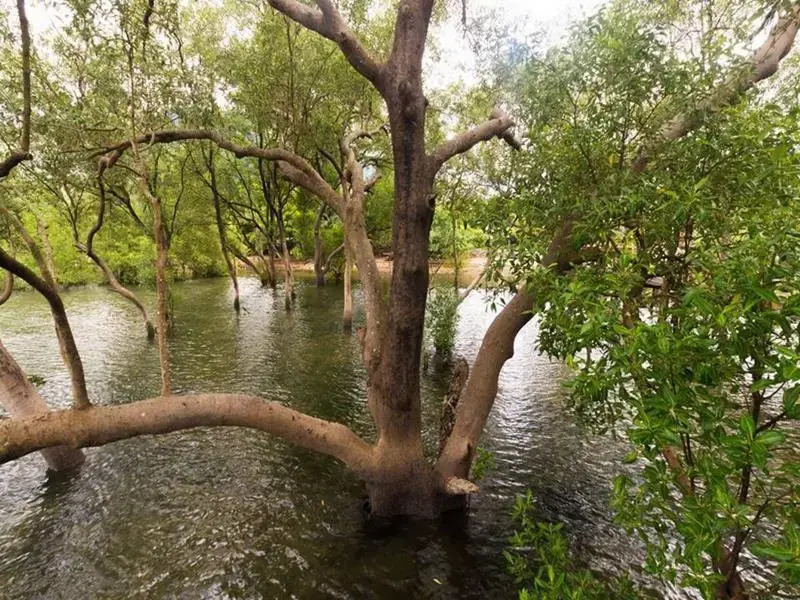 The Nature Home Krabi