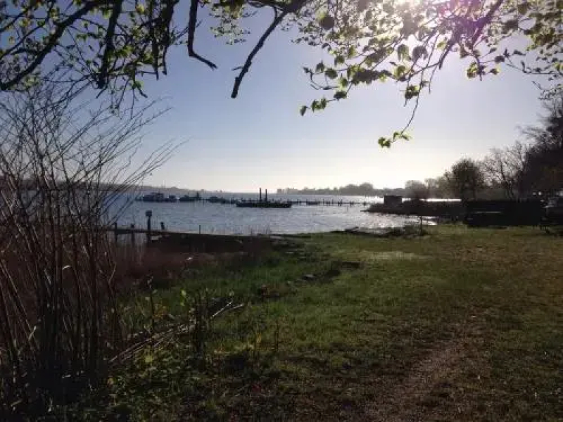 Villa Thurø Homestay