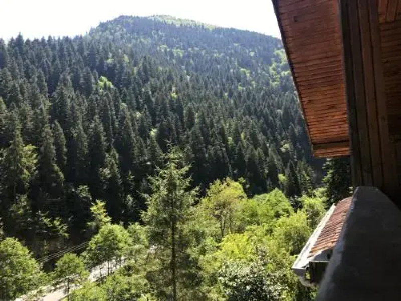 Kayalar Pansiyon