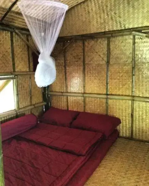 Cool Bananas Homestay