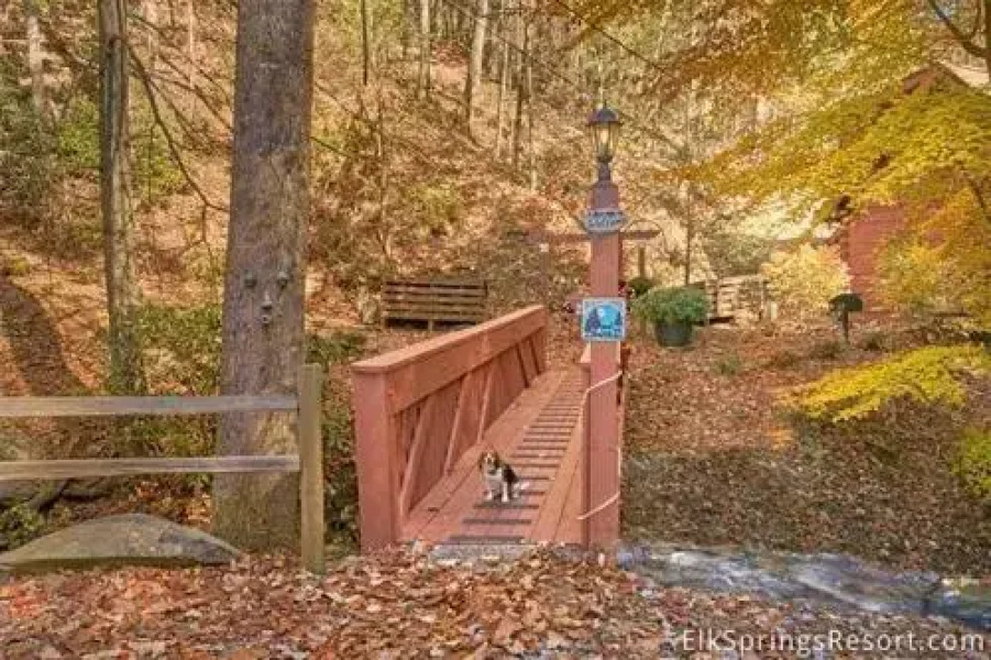 Bear Creek