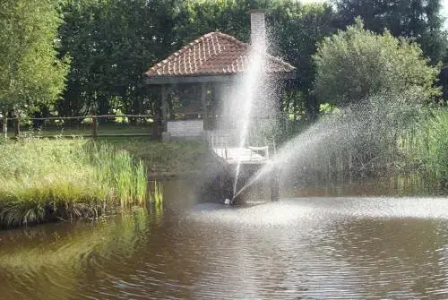 Aktywna Agroturystyka - OZONOWANY