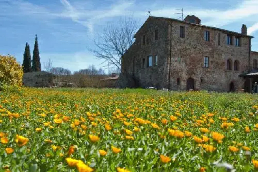 Podere Santo Stefano