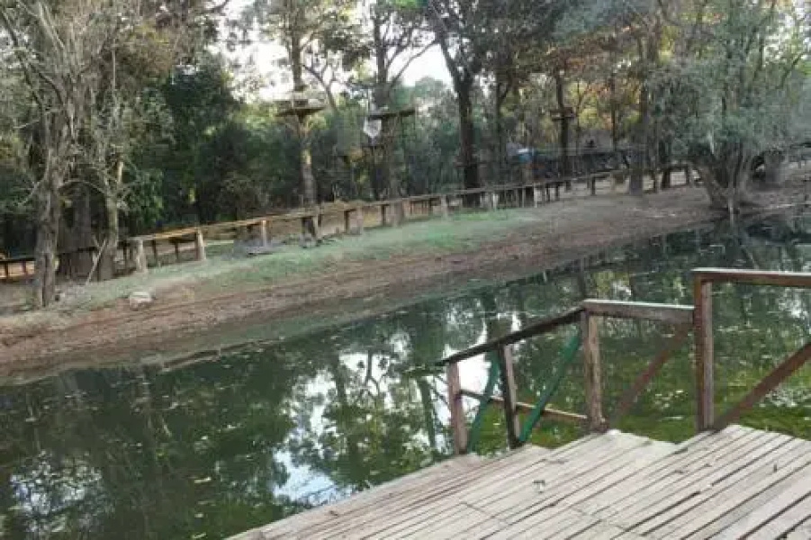 Shangri-La Jungle Village Resort