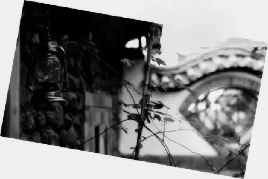 Dali Photography Theme Hostel