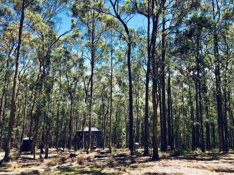 Robinson Tiny House