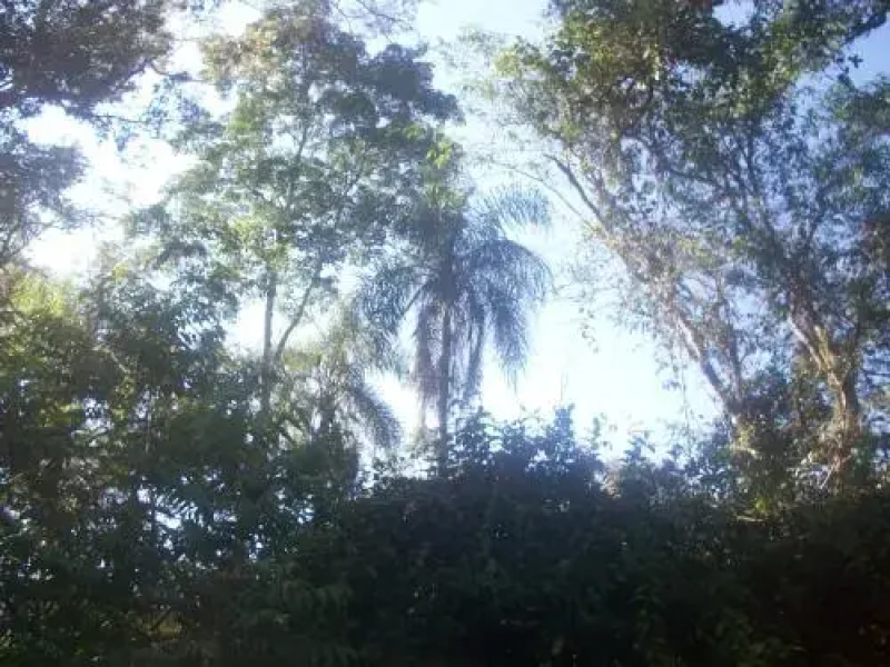 La Perla de la Selva Lodge