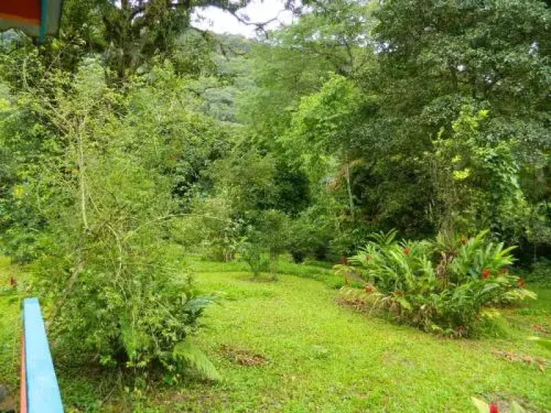 Bicho do Mato Suites