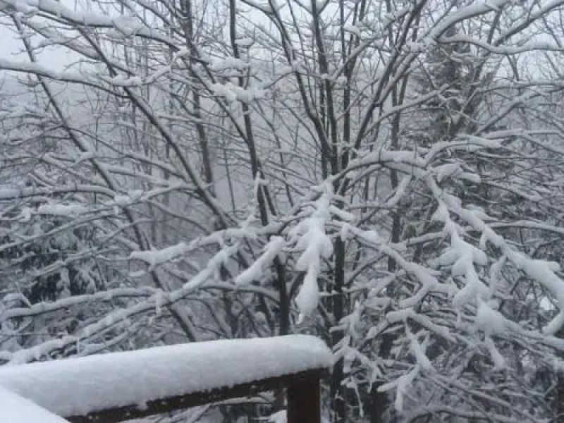 Lodge Nature Laurentides