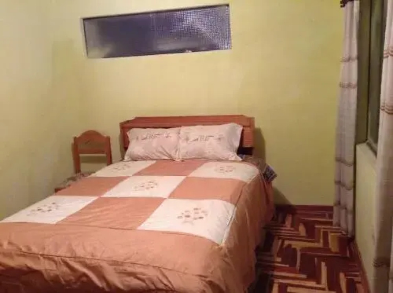 Puma Tambo