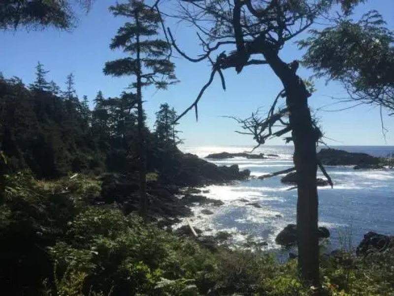 The Lighthouse Bed and Breakfast