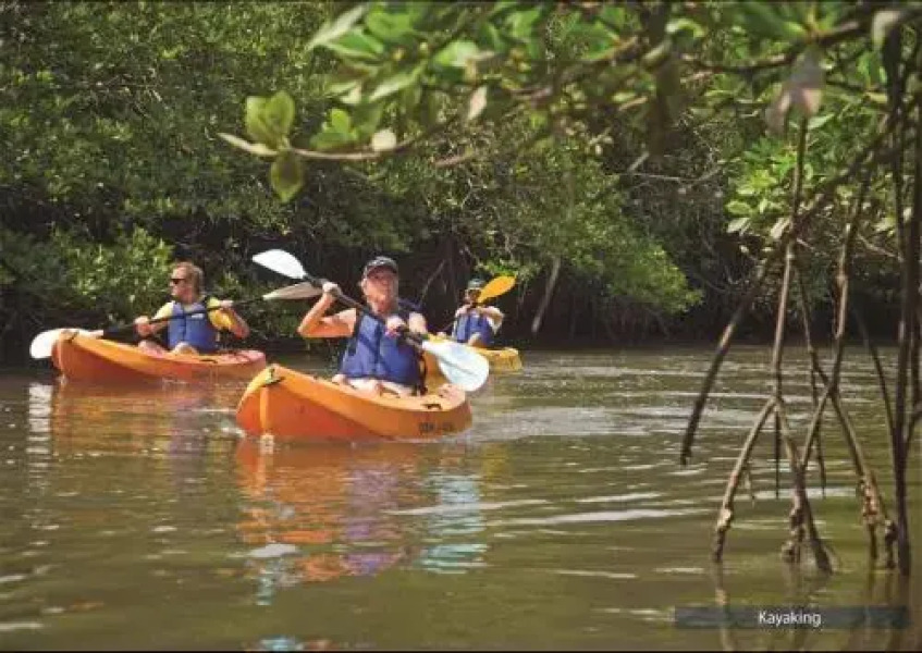 Barefoot At Havelock-Havelock Island
