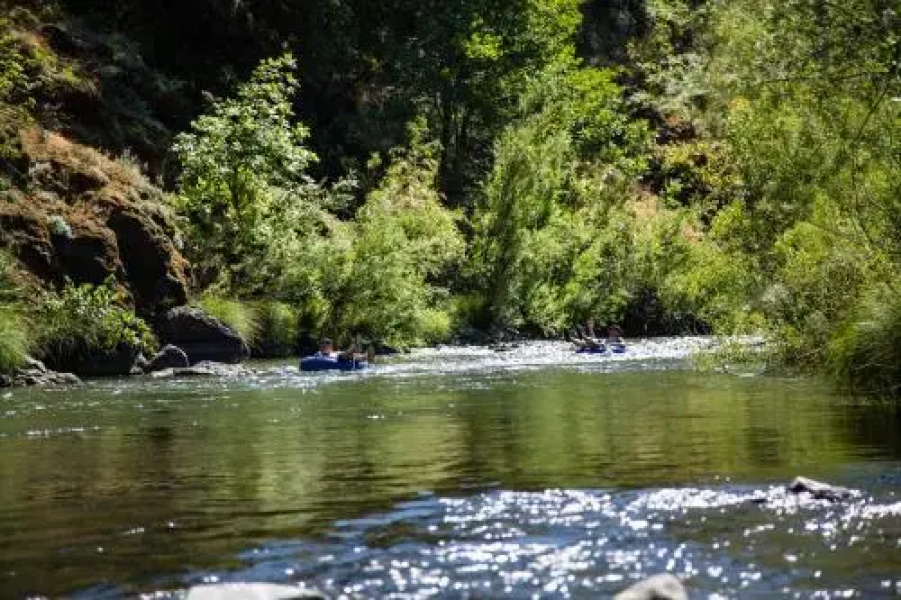 Russian River Camping Resort Cottage 7