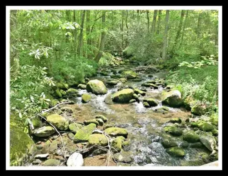 Mountain Brook Way Cabin 125 - 1 Br cabin by RedAwning